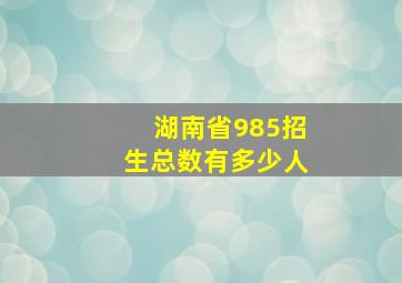 湖南省985招生总数有多少人