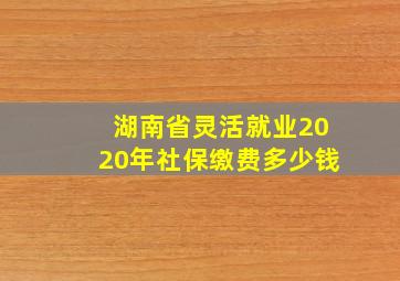 湖南省灵活就业2020年社保缴费多少钱