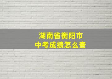 湖南省衡阳市中考成绩怎么查