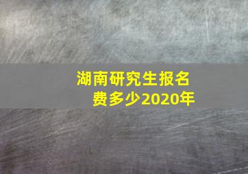 湖南研究生报名费多少2020年