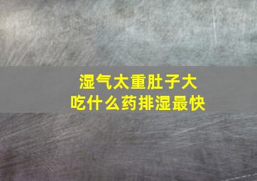 湿气太重肚子大吃什么药排湿最快