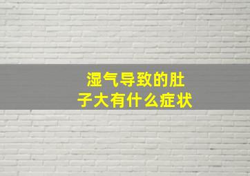 湿气导致的肚子大有什么症状