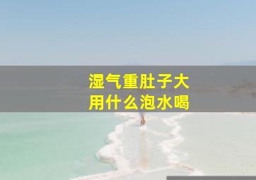 湿气重肚子大用什么泡水喝