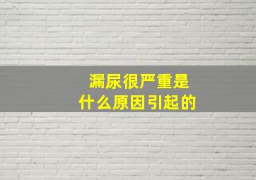 漏尿很严重是什么原因引起的