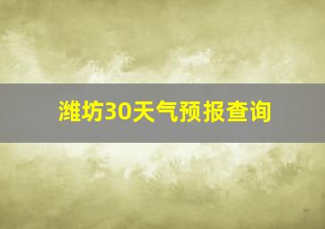 潍坊30天气预报查询