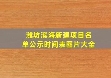 潍坊滨海新建项目名单公示时间表图片大全