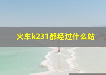 火车k231都经过什么站