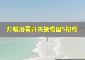 灯暖浴霸开关接线图5根线