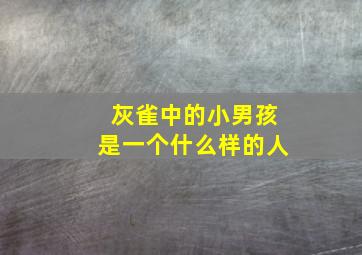 灰雀中的小男孩是一个什么样的人