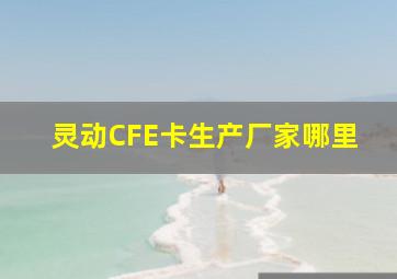 灵动CFE卡生产厂家哪里