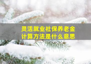 灵活就业社保养老金计算方法是什么意思