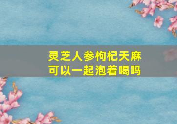 灵芝人参枸杞天麻可以一起泡着喝吗