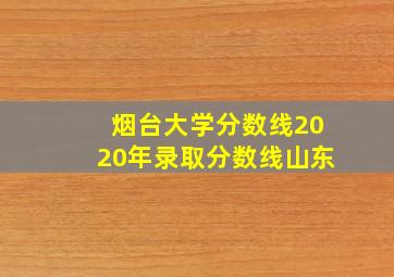 烟台大学分数线2020年录取分数线山东