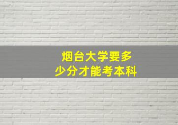 烟台大学要多少分才能考本科