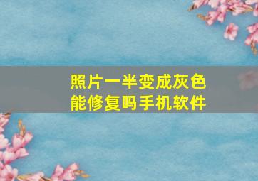 照片一半变成灰色能修复吗手机软件