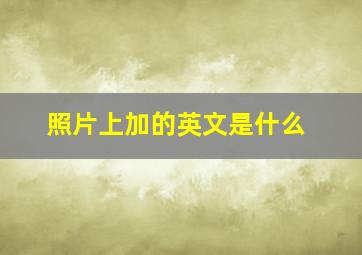 照片上加的英文是什么