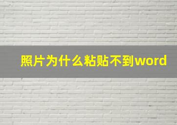 照片为什么粘贴不到word