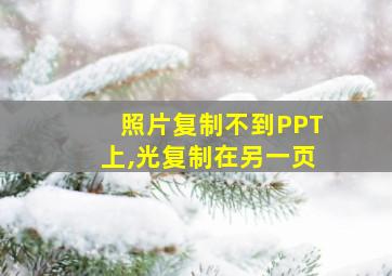 照片复制不到PPT上,光复制在另一页