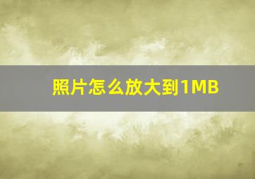 照片怎么放大到1MB