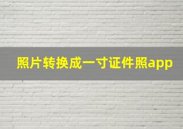 照片转换成一寸证件照app