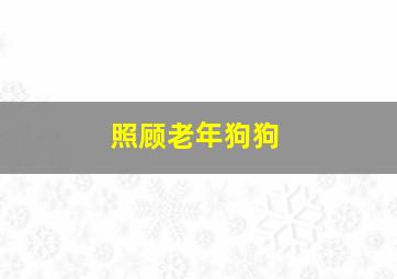 照顾老年狗狗