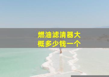 燃油滤清器大概多少钱一个