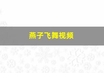 燕子飞舞视频