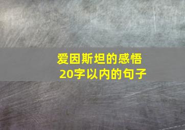 爱因斯坦的感悟20字以内的句子