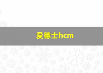 爱德士hcm