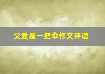 父爱是一把伞作文评语