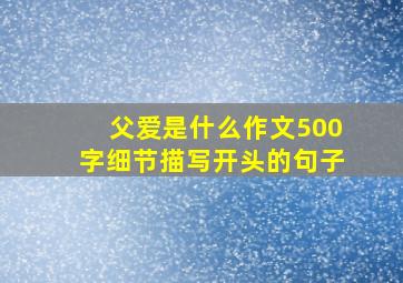 父爱是什么作文500字细节描写开头的句子