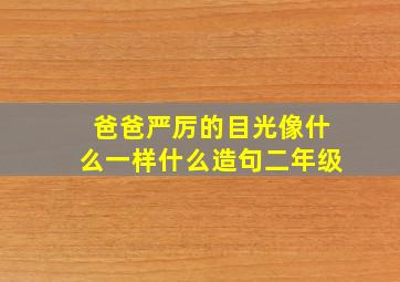 爸爸严厉的目光像什么一样什么造句二年级