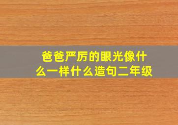 爸爸严厉的眼光像什么一样什么造句二年级