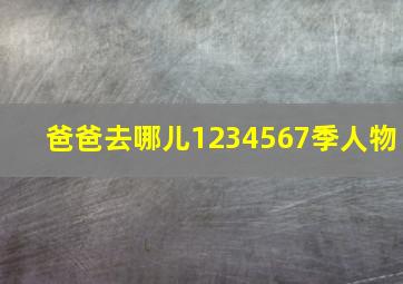 爸爸去哪儿1234567季人物