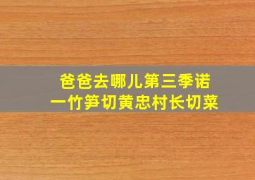 爸爸去哪儿第三季诺一竹笋切黄忠村长切菜