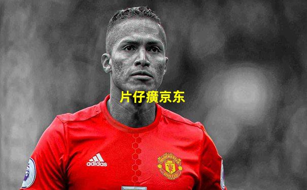 片仔癀京东