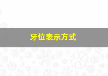 牙位表示方式