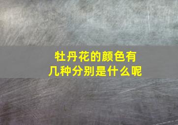 牡丹花的颜色有几种分别是什么呢