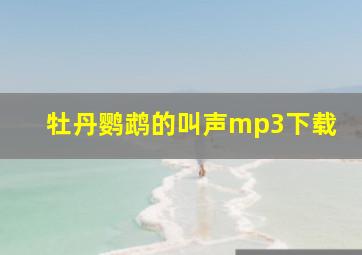 牡丹鹦鹉的叫声mp3下载