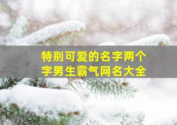 特别可爱的名字两个字男生霸气网名大全