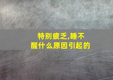 特别疲乏,睡不醒什么原因引起的