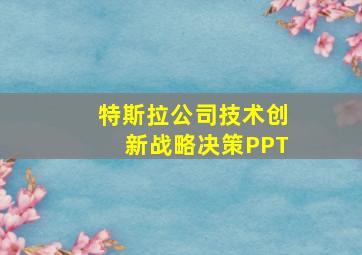 特斯拉公司技术创新战略决策PPT