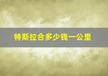 特斯拉合多少钱一公里