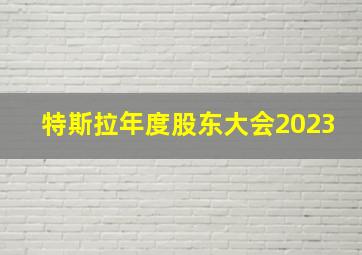 特斯拉年度股东大会2023