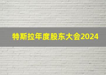 特斯拉年度股东大会2024