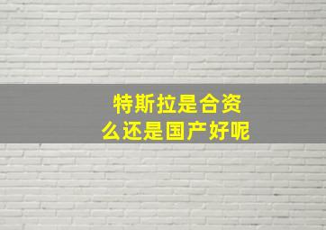 特斯拉是合资么还是国产好呢