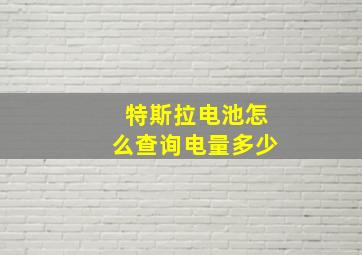 特斯拉电池怎么查询电量多少