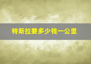 特斯拉要多少钱一公里