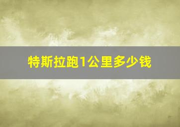 特斯拉跑1公里多少钱