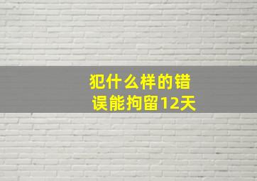 犯什么样的错误能拘留12天